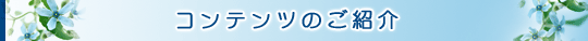 コンテンツのご紹介